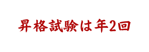 昇格試験は年2回